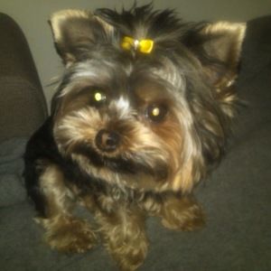 Meet your Posher, Helena